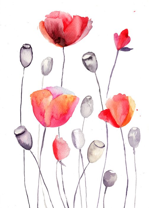 Sticker  Coquelicots rouges et têtes de pavot