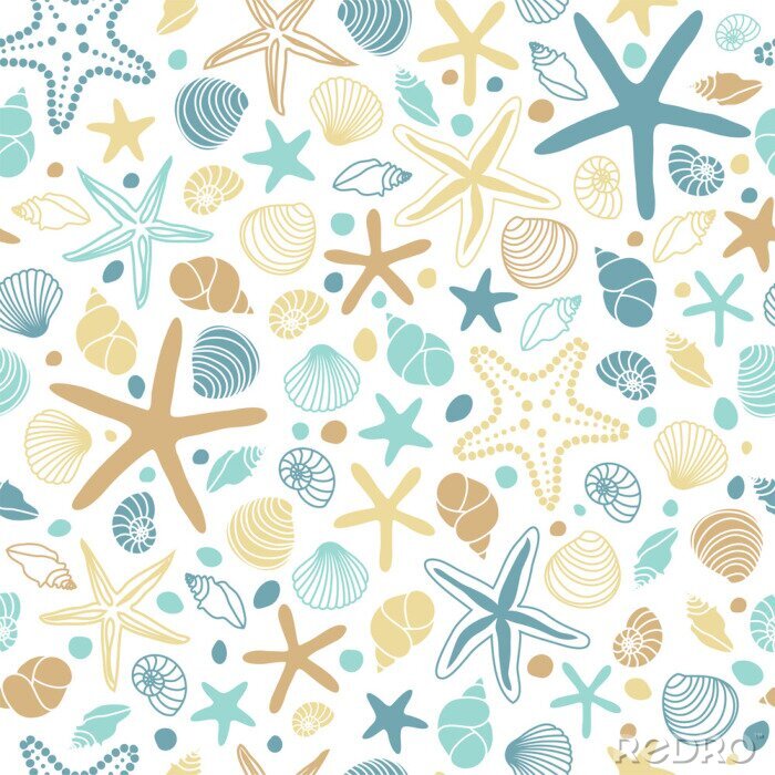 Sticker  Coquillages sur fond blanc