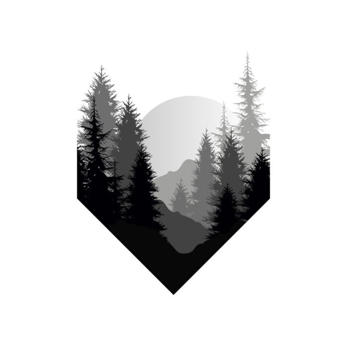 Sticker  Coucher de soleil sur fond de forêt