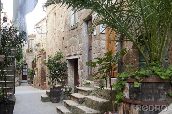 Sticker  Cour pavée et plantes tropicales