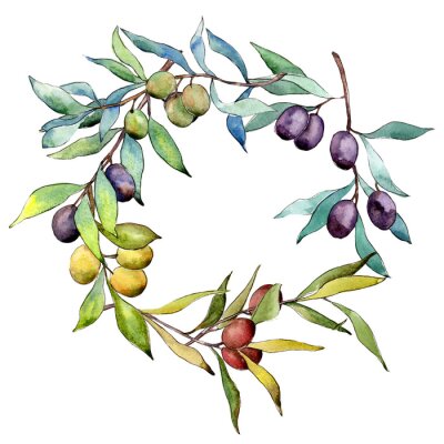 Sticker  Couronne d'Olivier dans un style aquarelle. Nom complet de la plante: Branches d'un olivier. Aquarelle d'olivier pour le fond, la texture, le motif de l'enveloppe, le cadre ou la bordure.