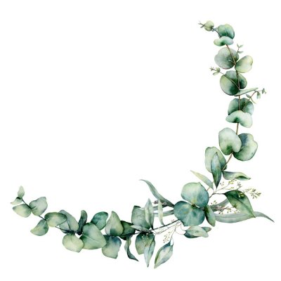 Sticker  Couronne de feuilles d'eucalyptus