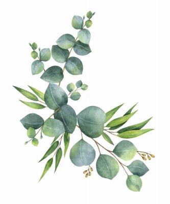 Sticker  Couronne de vecteur aquarelle avec des feuilles et des branches d'eucalyptus vert.