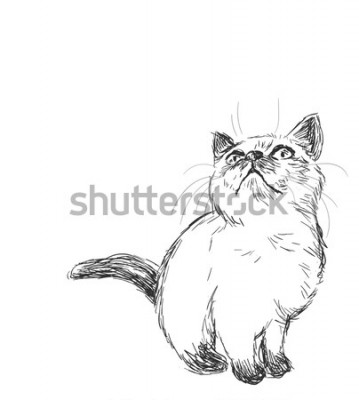Sticker  Croquis de chats d'un chat levant les yeux