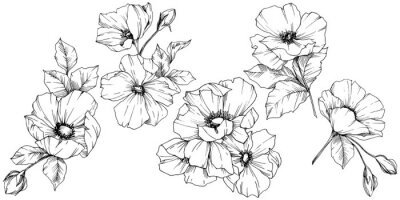 Sticker  Croquis de fleurs roses en noir et blanc