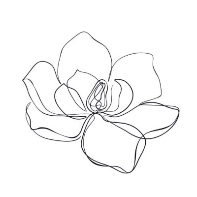 Croquis manuel isolé de magnolia