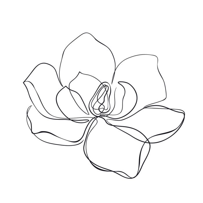 Sticker  Croquis manuel isolé de magnolia