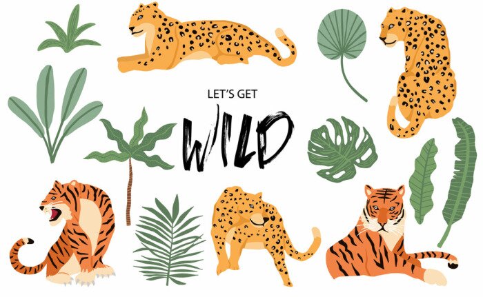 Sticker  Cute animal object collection with leopard,tiger. illustration for icon,logo,sticker,printable.Include wording let's get wild
