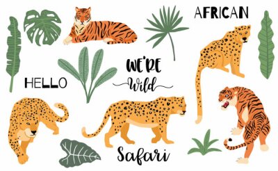 Sticker  Cute animal object collection with leopard,tiger. illustration for icon,logo,sticker,printable.Include wording we are wild