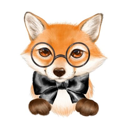 Cute cartoon fox wearing glasses isolated on white background
