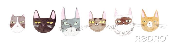 Sticker  Cute cats collection on white background. Colorful graphic cats, poster design. Watercolor hand drawn illustration. Painted backdrop. Cloth pattern. Cat, kitten, head.