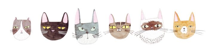 Sticker  Cute cats collection on white background. Colorful graphic cats, poster design. Watercolor hand drawn illustration. Painted backdrop. Cloth pattern. Cat, kitten, head.