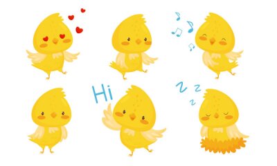 Sticker  Cute Chicken Cartoon Chracters, Emotional Funny Bird in Different Situations Vector Illustration