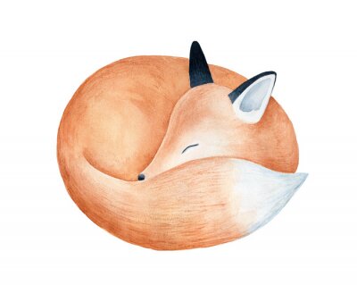 Sticker  Cute fluffy sleeping fox character watercolor illustration. Symbol of cleverness, intelligence, charm, beauty, protection. Handdrawn water color graphic drawing, cutout element for design decoration.