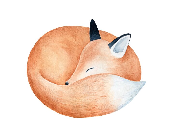 Sticker  Cute fluffy sleeping fox character watercolor illustration. Symbol of cleverness, intelligence, charm, beauty, protection. Handdrawn water color graphic drawing, cutout element for design decoration.
