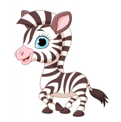 Sticker  Cute zebra posant isolé sur fond blanc