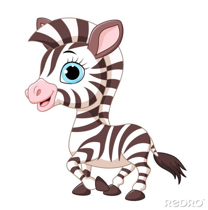 Sticker  Cute zebra posant isolé sur fond blanc