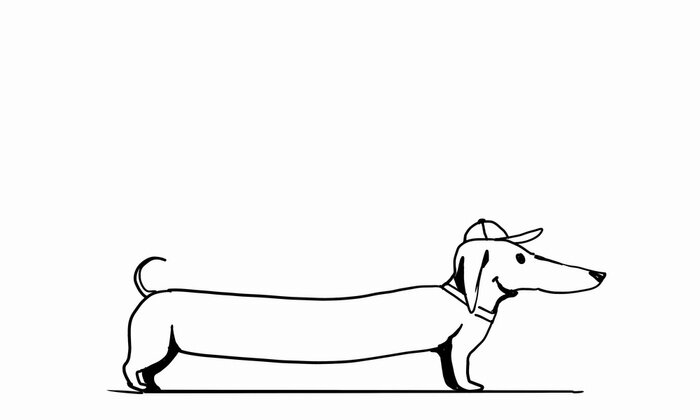 Sticker  Dachshund Dog