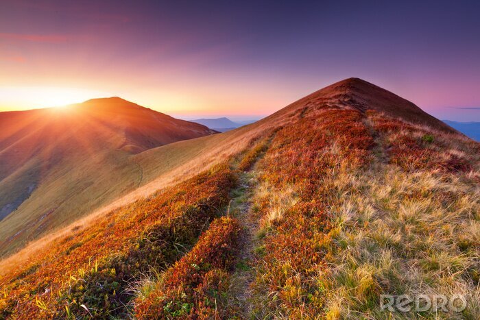 Sticker  De l'herbe au sommet de la montagne