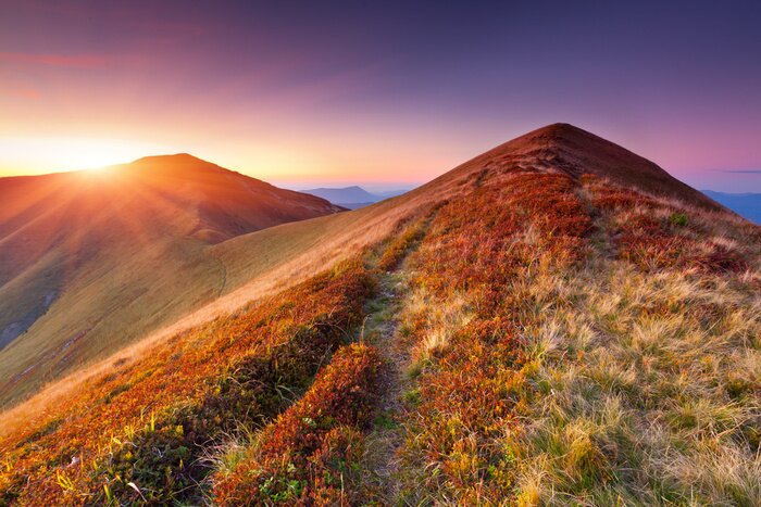 Sticker  De l'herbe au sommet de la montagne