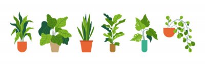 Sticker  Decorative green houseplants in pots and planters, natural home decor and urban jungle