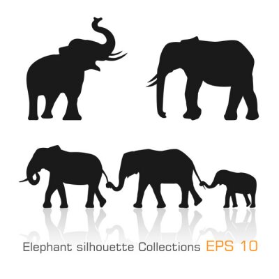 Sticker  Définir des éléphants silhouette dans différentes poses