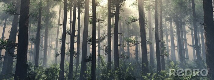 Sticker  Des arbres dans le brouillard. La fumée dans la forêt le matin. Un matin brumeux parmi les arbres. Rendu 3D