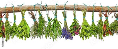 Des bouquets d'herbes accrochés à une branche d'arbre