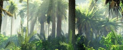 Des palmiers dans la jungle