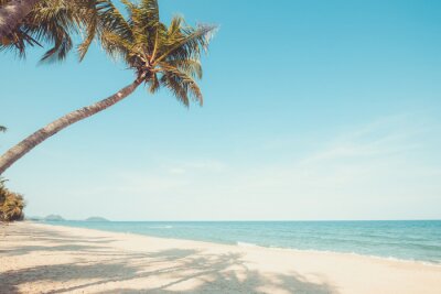 Des palmiers sur l'océan infini