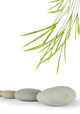Des pierres zen et une brindille d'herbe délicate