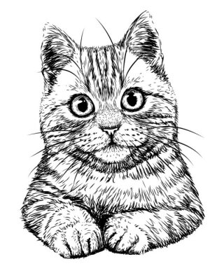 Sticker  Dessin à la main noir et blanc de chat sympathique