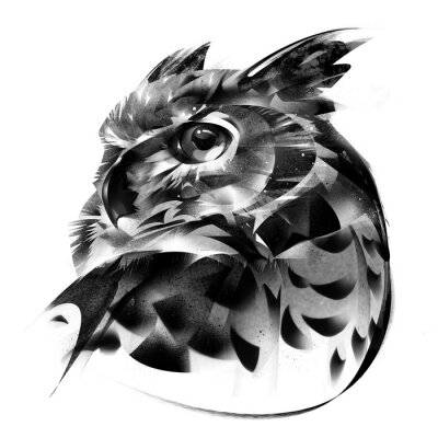 Sticker  Dessin artistique d'un hibou