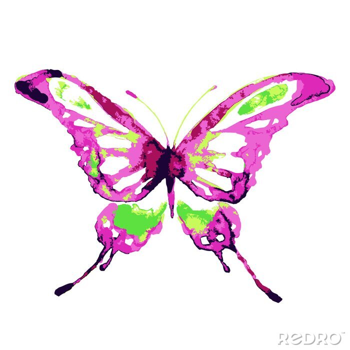 Sticker  Dessin coloré et petit papillon