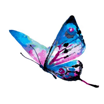Sticker  Dessin colorés avec un papillon