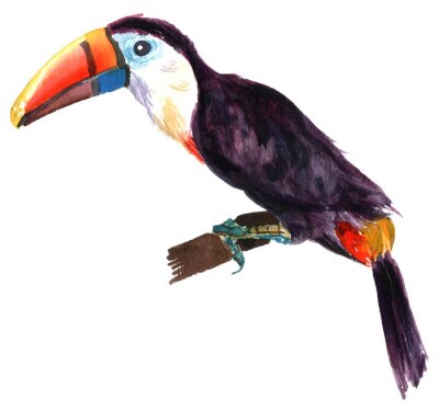 Sticker  Dessin d'oiseau assis sur une branche