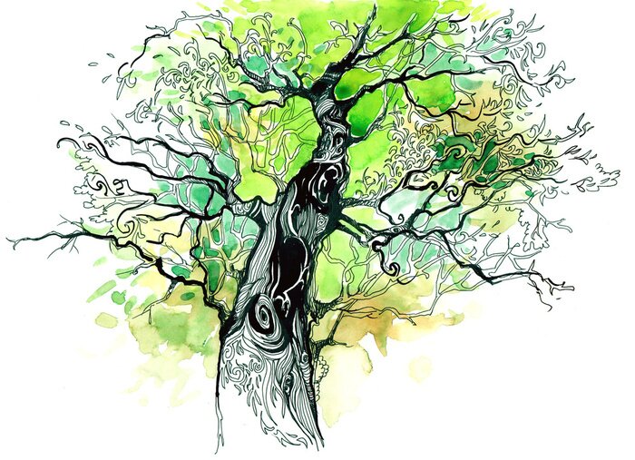 Sticker  Dessin d'un arbre avec une couronne verte