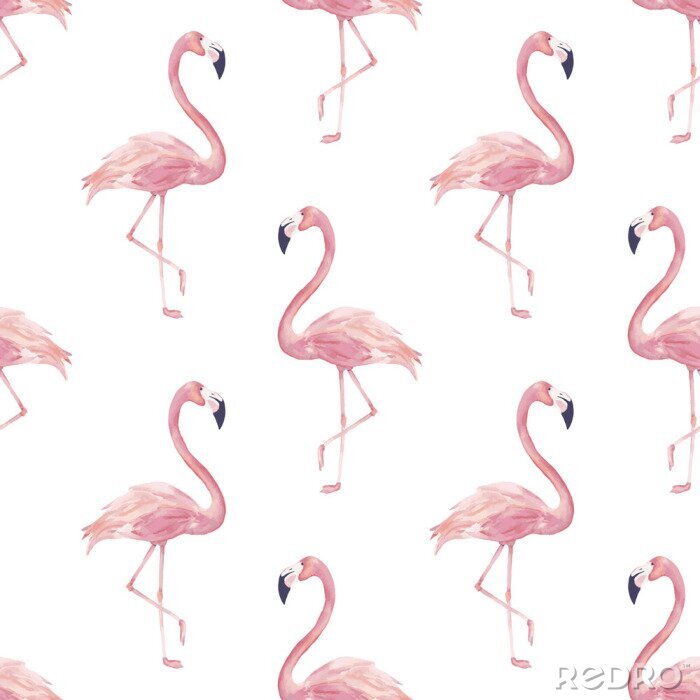 Sticker  Dessin flamants roses sur fond blanc