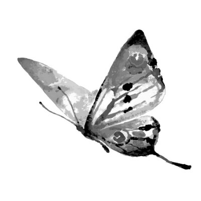 Dessin noir et blanc avec un papillon