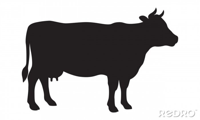 Sticker  Dessin noir et blanc avec un profil de vache