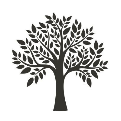 Sticker  Dessin noir et blanc d'un arbre à feuilles caduques