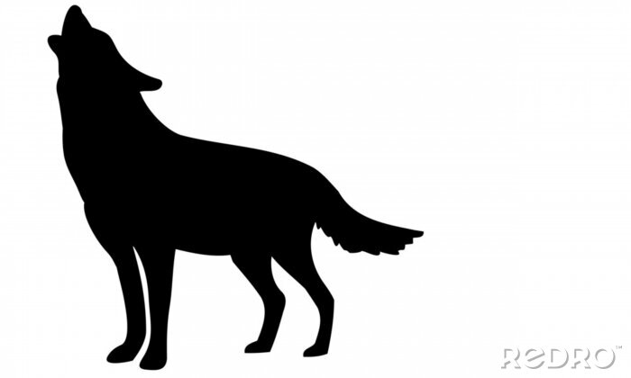 Sticker  Dessin noir et blanc d'un loup hurlant