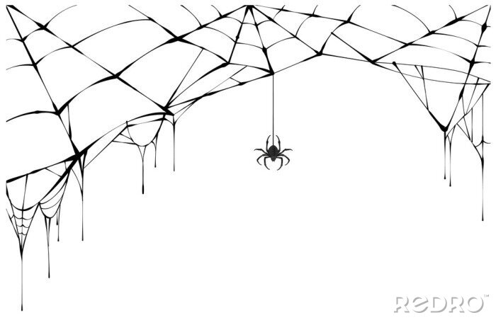 Sticker  Dessin noir et blanc d'une araignée sur une toile d'araignée