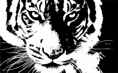Sticker  Dessin noir et blanc d'une tête de tigre