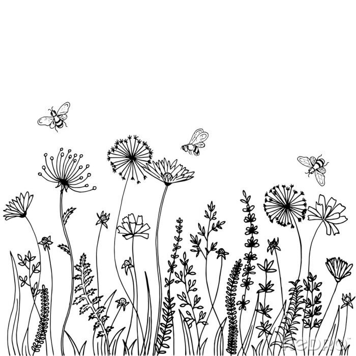Sticker  Dessin noir et blanc de plantes de prairie