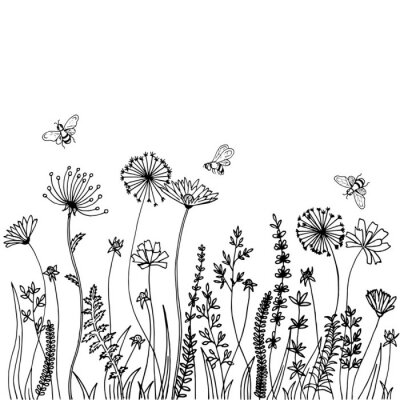 Sticker  Dessin noir et blanc de plantes de prairie