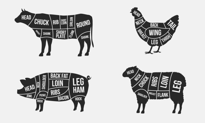 Sticker  Dessin noir et blanc de viande de différents animaux