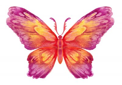 Sticker  Dessin papillon aux couleurs chaudes