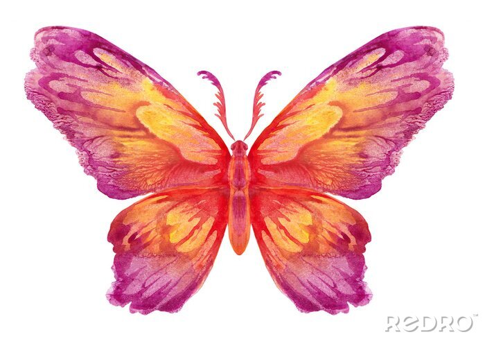 Sticker  Dessin papillon aux couleurs chaudes