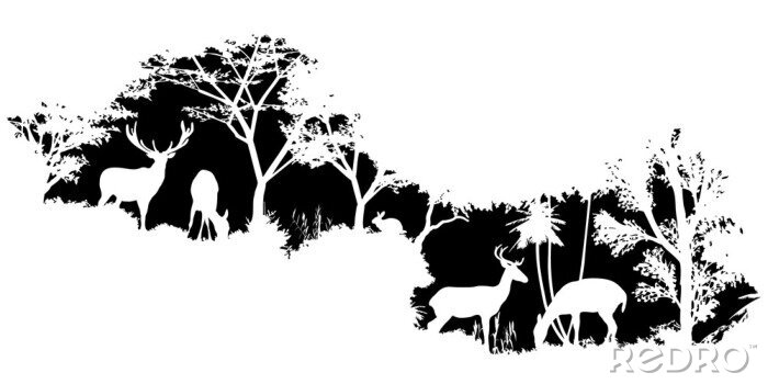 Sticker  Dessiner des animaux en noir et blanc sur le fond de la forêt